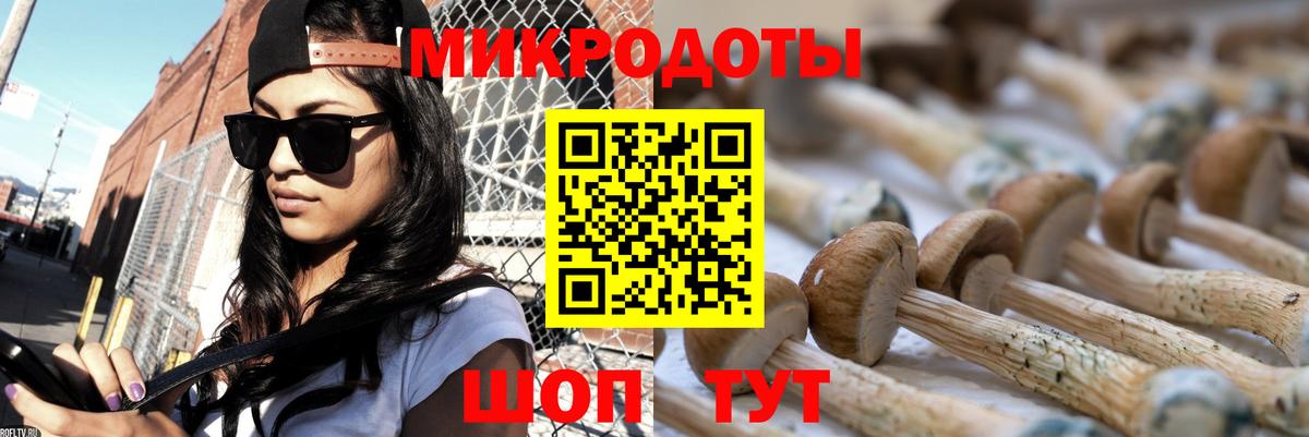 Галлюциногенные грибы Cubensis Усинск